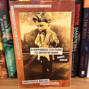 4/$25 A Supposedly Fun Thing I'll Never Do Again by David Foster Wallace